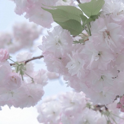 Furry兽设设计灵感合集兽圈群